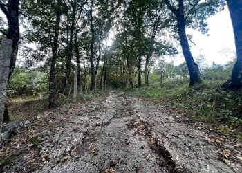 Foto 14 - Casa indipendente via Felettelle, San Michele di Serino - foto 14