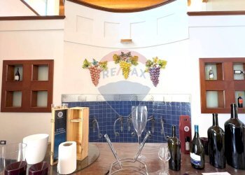 Bagno - Capannone CONTRADA TURRISI
 
SNC, Partinico - foto 11