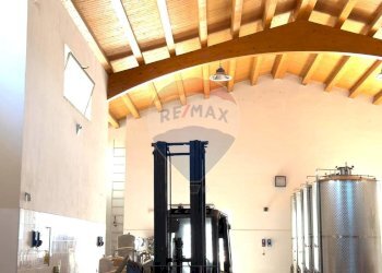 Scale - Capannone CONTRADA TURRISI
 
SNC, Partinico - foto 14