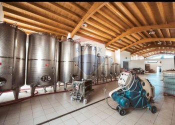 Palestra - Capannone CONTRADA TURRISI
 
SNC, Partinico - foto 23