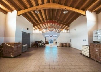 Terrazza - Capannone CONTRADA TURRISI
 
SNC, Partinico - foto 24