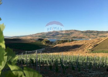 Vista delle montagne - Capannone CONTRADA TURRISI
 
SNC, Partinico - foto 25