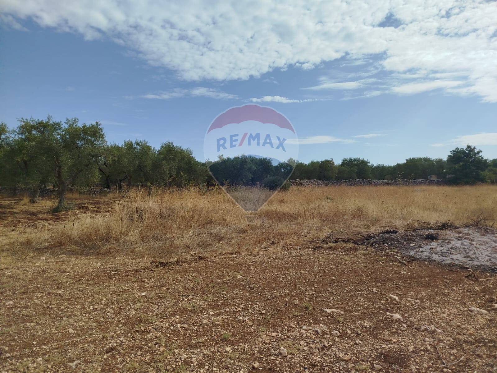 Vista delle montagne - Terreno agricolo Strada Provinciale 71, Cassano delle Murge - foto 1