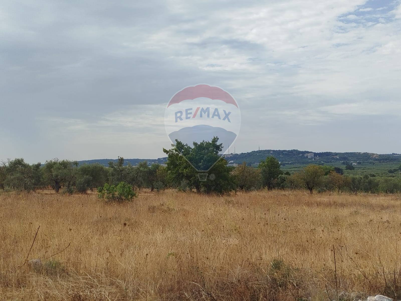 Vista delle montagne - Terreno agricolo Strada Provinciale 71, Cassano delle Murge - foto 3