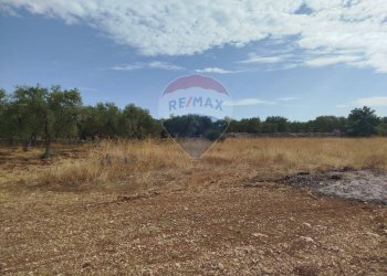 Vista delle montagne - Terreno agricolo Strada Provinciale 71, Cassano delle Murge - foto 1