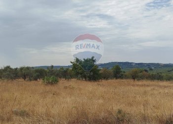 Vista delle montagne - Terreno agricolo Strada Provinciale 71, Cassano delle Murge - foto 3