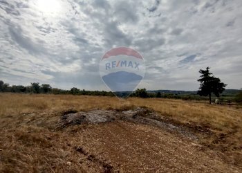 Non correlato - Terreno agricolo Strada Provinciale 71, Cassano delle Murge - foto 5