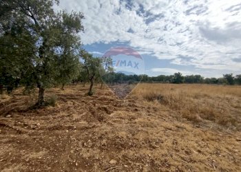 Vista delle montagne - Terreno agricolo Strada Provinciale 71, Cassano delle Murge - foto 6