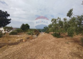 Giardino - Terreno agricolo Strada Provinciale 71, Cassano delle Murge - foto 7