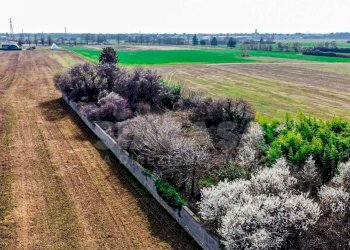 Foto 15 - Casa indipendente Via Cascina Orobona
 
7, Mezzago - foto 15