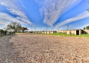 Foto 2 - Terreno edificabile via cascina orobona
 
7, Mezzago - foto 2