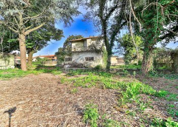 Foto 6 - Terreno edificabile via cascina orobona
 
7, Mezzago - foto 6