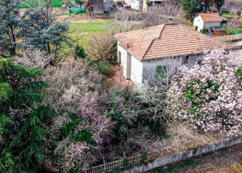 Foto 12 - Terreno edificabile via cascina orobona
 
7, Mezzago - foto 12