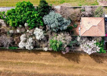 Foto 13 - Terreno edificabile via cascina orobona
 
7, Mezzago - foto 13