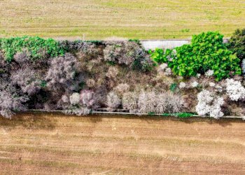 Foto 14 - Terreno edificabile via cascina orobona
 
7, Mezzago - foto 14