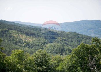 Vista delle montagne - Villa VIA POGGIO SAN DONATO
 
10, Santa Fiora - foto 33