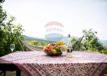 Dettagli - Villa VIA POGGIO SAN DONATO
 
10, Santa Fiora - foto 45