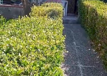 Giardino - Monolocale Via Provinciale
 
snc, Galluccio - foto 4