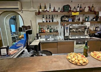 Interno non residenziale - Bar Tavola Calda - Fredda via dei Pioppi, 3, Pino Torinese - foto 8