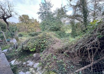 Terreno - Casa indipendente via San Gaudenzio e Biagio, 32, Mornago - foto 16