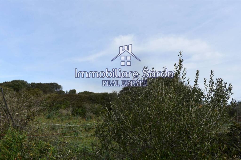 Vista - Terreno edificabile Statale 133bis di Palau, Santa Teresa Gallura - foto 3