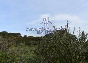 Vista - Terreno edificabile Statale 133bis di Palau, Santa Teresa Gallura - foto 3