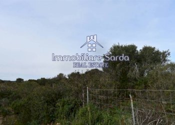 Vista - Terreno edificabile Statale 133bis di Palau, Santa Teresa Gallura - foto 4