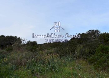 Terreno - Terreno edificabile Statale 133bis di Palau, Santa Teresa Gallura - foto 7