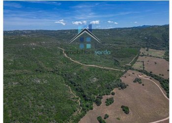 Vista - Terreno agricolo Aglientu - foto 8