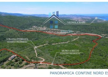 Terreno - Terreno agricolo Aglientu - foto 9