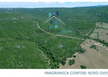 Terreno - Terreno agricolo Aglientu - foto 10