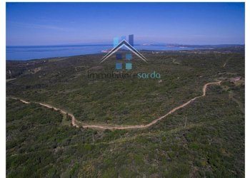 Terreno - Terreno agricolo Aglientu - foto 11