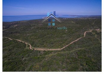 Terreno - Terreno agricolo Aglientu - foto 12