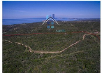 Terreno - Terreno agricolo Aglientu - foto 13