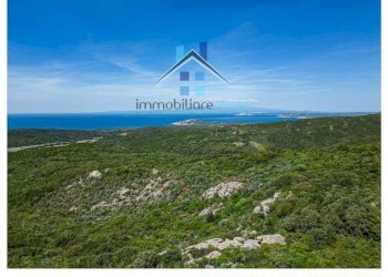 Zona - Terreno agricolo Aglientu - foto 14