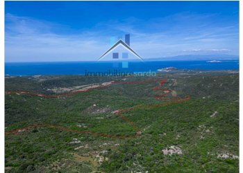 Vista - Terreno agricolo Aglientu - foto 16