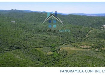 Vista - Terreno agricolo Aglientu - foto 19