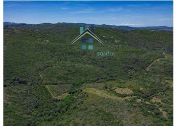 Terreno - Terreno agricolo Aglientu - foto 20