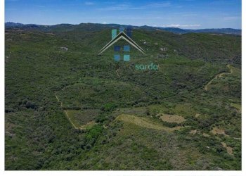 Terreno - Terreno agricolo Aglientu - foto 21