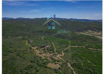 Terreno - Terreno agricolo Aglientu - foto 24