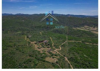 Terreno - Terreno agricolo Aglientu - foto 25