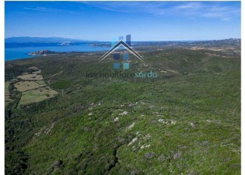 Vista - Terreno agricolo Aglientu - foto 28
