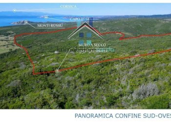 Terreno - Terreno agricolo Aglientu - foto 31