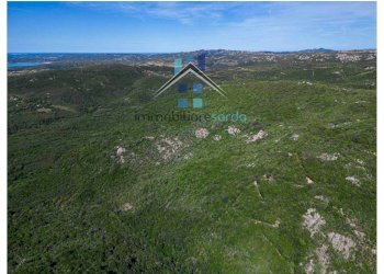 Terreno - Terreno agricolo Aglientu - foto 32