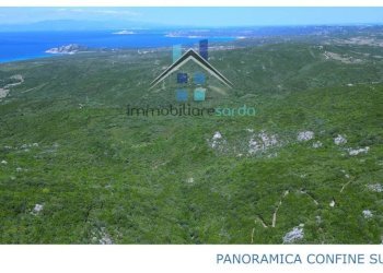 Vista - Terreno agricolo Aglientu - foto 33