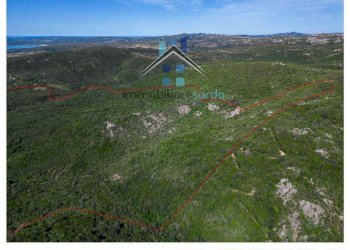 Terreno - Terreno agricolo Aglientu - foto 34