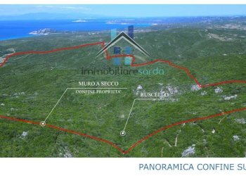 Vista - Terreno agricolo Aglientu - foto 35