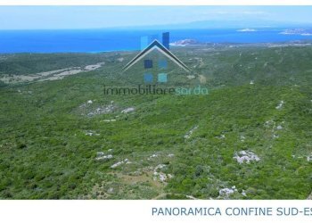 Vista - Terreno agricolo Aglientu - foto 36