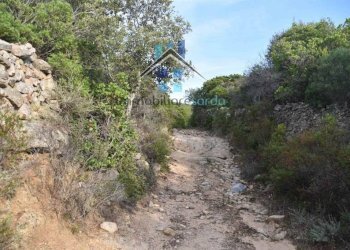 Terreno - Terreno agricolo Aglientu - foto 38