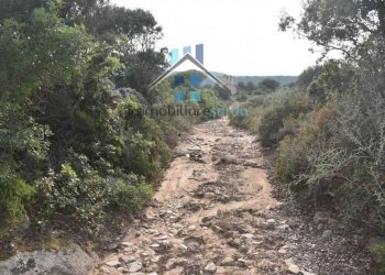 Terreno - Terreno agricolo Aglientu - foto 39